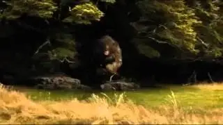 Intro hobbit