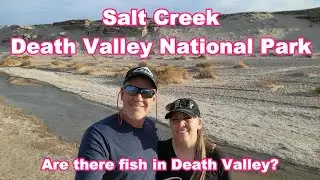 Amazing Pupfish of Death Valley National Park. Salt Creek of The Hottest & Driest Place on Earth!