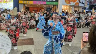 十人十彩 高知よさこい祭り 20250810 帯屋町演舞場② 4K