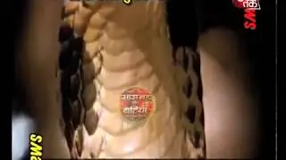 Revealed - Star Cast of &lsquo;Naagin 3 &lsquo;