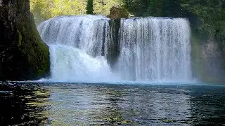 🍃 A Hidden Gem in Gifford Pinchot &mdash; Upper Lewis Falls