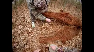 We Went Squirrel Hunting, You WON'T Believe What Happened!