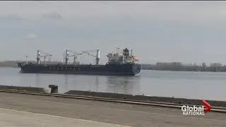 European free trade deal exposes Canada's top exports