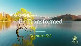 WHF Scripture Arts   2026   New Zealand Edition