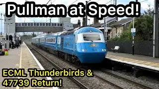 47739 Returns, Midland Pullman at SPEED & ECML Thunderbirds Waiting for the CALL..!
