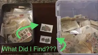 Bin Stamp Search! Valuable Stamps Found?