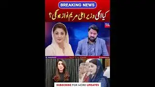 Maryam Nawaz Will Be Next CM Of Punjab? | PNPNews