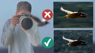 How to shoot FAST ACTION like a PRO!