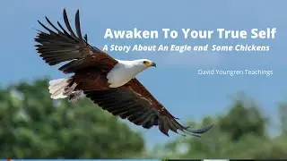 The Eagle and The Chickens: A Modern Day Parable
