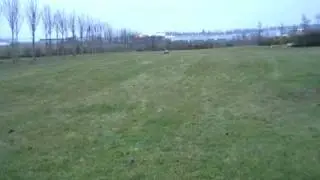 sa va tres vite 2