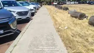 Exploring Western Australia Bike Ride