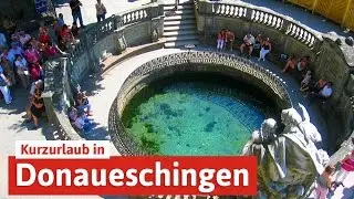 Kurzurlaub in Donaueschingen - Donaugeschichten und das Wyndham Garden Hotel