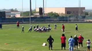 Jaci D #2 Maricopa Jr Rams MM