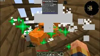 Chicken Block | Ep. 7 Look what I created!!