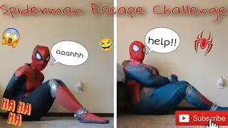 Spiderman Escape Challenge