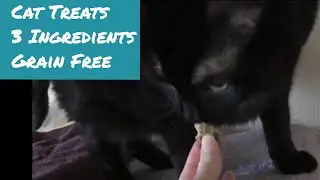 Homemade Cat Treats 3 Ingredients - Grain Free