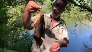 You won't believe what you can catch in the Everglades.  Handline fishing with yoyito reels.