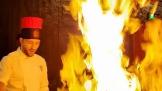BENIHANA Teppanyaki M6 Wagyu and Salmon Set Japanese Cuisine Elite Chef Cooking