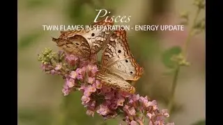 ♓️ PISCES - TWIN FLAME/SOUL CONNECTION IN SEPARATION, ENERGY UPDATE (TIMELESS)