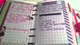 August 2015 Planner flip through