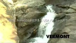 RomeSDS｜Drytac - It's Amazing