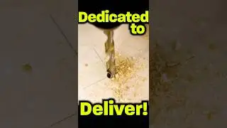Насадки Brad Point Bits справятся со своей задачей! Вам понравится этот набор! #шорты
