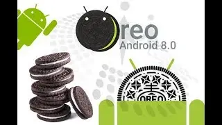 Android 8.0 Oreo update.