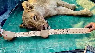 HUMAN WILDLIFE CONFLICT CONFERENCE 2023