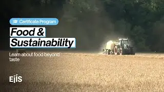Food & Sustainability - Certificate Program