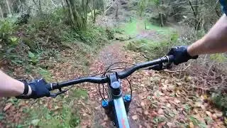 Castlewellan MTB Black trail