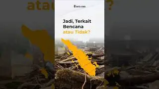 Fakta-fakta Kayu Viral PT Minas Pagai Lumber