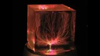 3 Inch Captured Lightning Cube (3D Lichtenberg Figure)