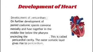 Development of Heart | Development of Pericardium #developmentalbiology