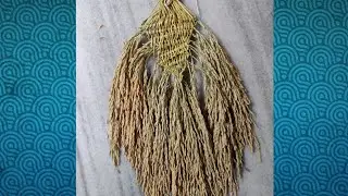 Rice Art/How to Draw Rice #riceart 