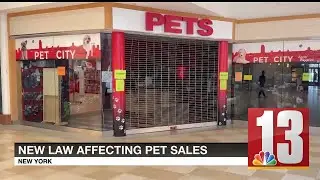 New pet shop law in NY state forces many out of business