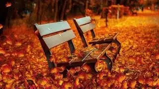 Falling Leaves Animation 4K - Free HD Stock Footage - No Copyright - Background Loop