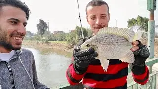 فلوج صيد واحد وعشرين سمكه بلطي عد ورايا