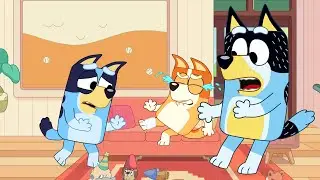 Why Was Bingo Crying? 😢 | A Family Moment at Home | Bluey Stories