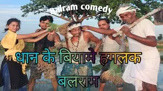 धान के बिया में हगलक बलराम//dhan ke biya me hagalak balram  #familycomedybalram #balramchaursiya