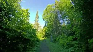 06 Cascade River RAW FOOTAGE Trail Run Superior  Hiking Trail   North Shore Minnesota NS062724