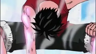Hood One Piece Luffy FOLDED that Ni***