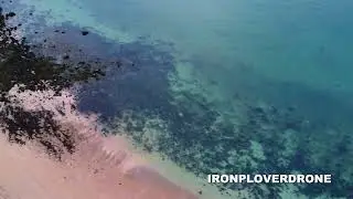 Iron Plover Drone Video- Niles Beach 3/9/23