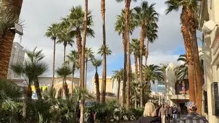 Las Vegas Strip Stroll