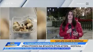12 Τόνους ακατάλληλων προιόντων κατασχέθηκαν | Ethnos