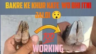 Bakre ke khur kaise kate ghar par ✅ kisi expert ki zarurat nahi ❌#bakra #sastabakra#bakramandi