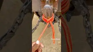 Trailer hitch knot. #trailers #outdoors #survival