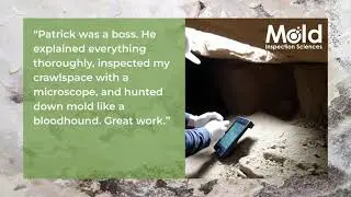Crawlspace Mold Inspection: The Microscopic Details That Matter