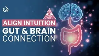 Align Intuition & Brain Power: Gut & Brain Connection Frequency