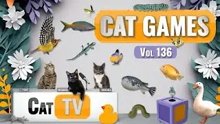 CAT Games | Ultimate Cat TV Compilation Vol 136 | 8 ЧАСОВ 🐝🐞🦋🦎🦜🐜🐭🧵