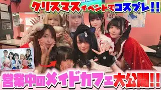 【無人カメラ】秋葉原の色々なメイドカフェの、クリスマスイベントに潜入してみた